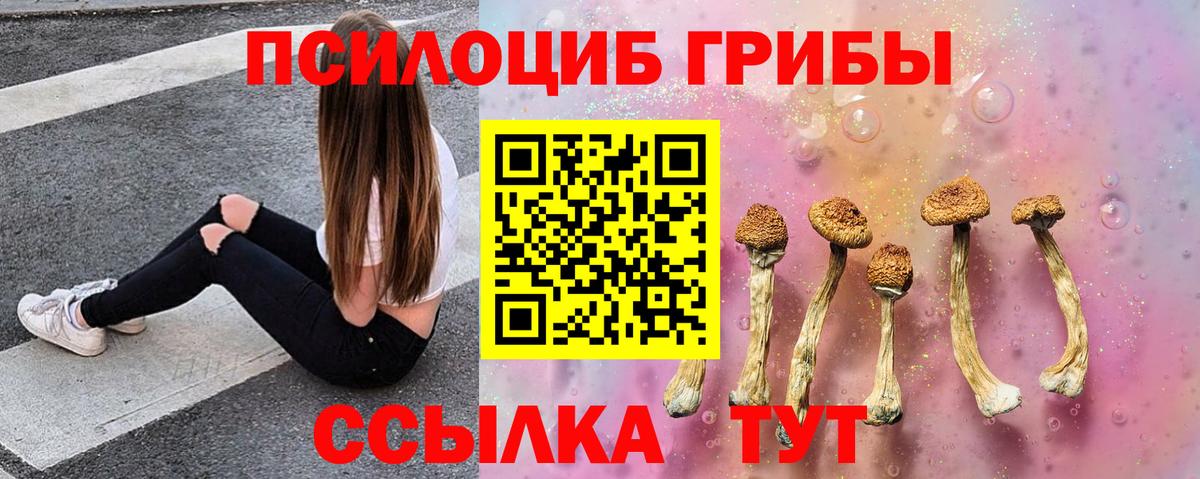 Псилоцибиновые грибы MAGIC MUSHROOMS Тихорецк